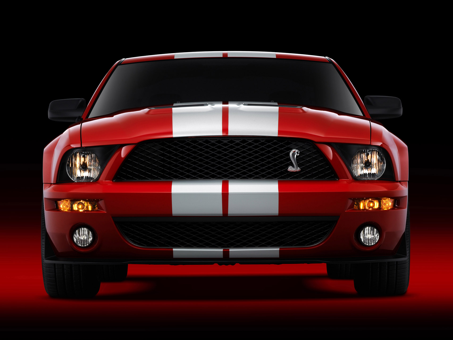 2007 Ford Shelby Gt500 Frdlatest