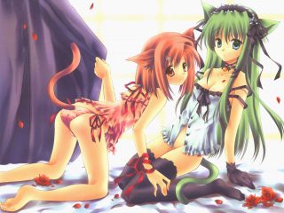 2girls Animal Ears Ariko Youichi Catgirl Cleavage Flowers Tail Thighhighs1261