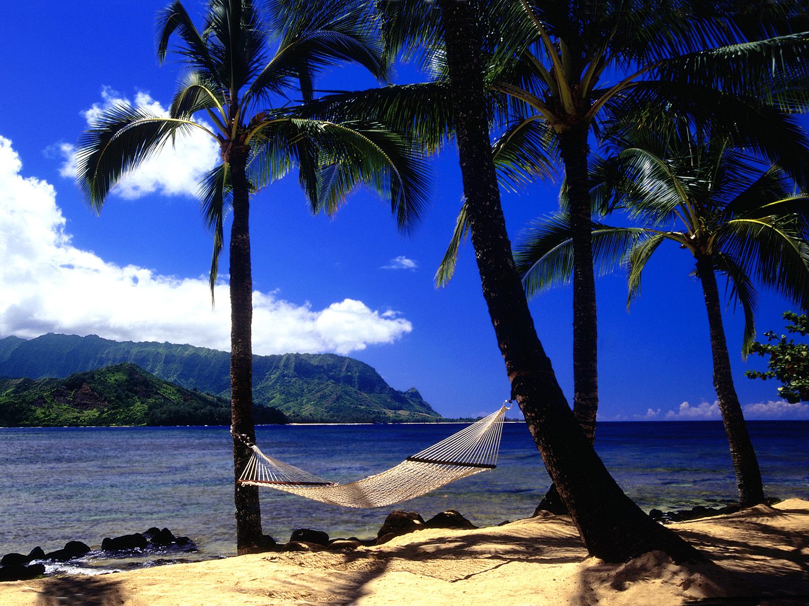 Afternoon Nap, Kauai, Hawaii
