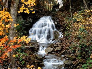 Allegheny Mountains, Pennsylvania