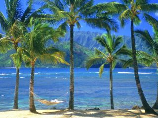 An Empty Hammock, Kauai, Hawaii