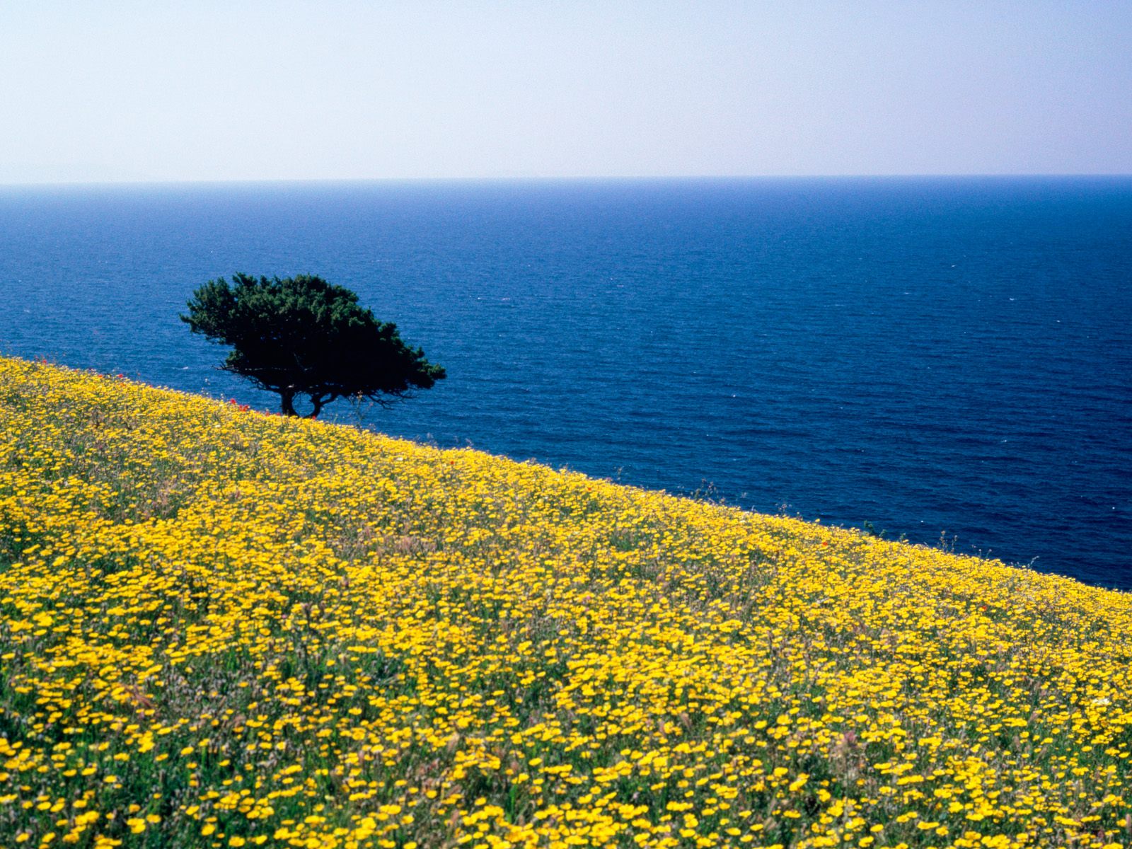 Antiparos, Aegean Sea, Greece
