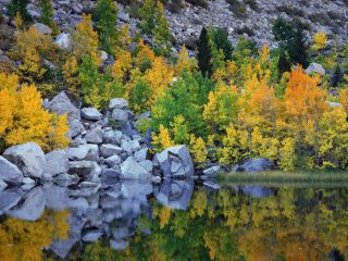 Autumn Color, Eastern Sierra, California