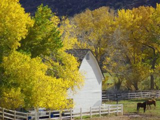 Autumn Country Farm