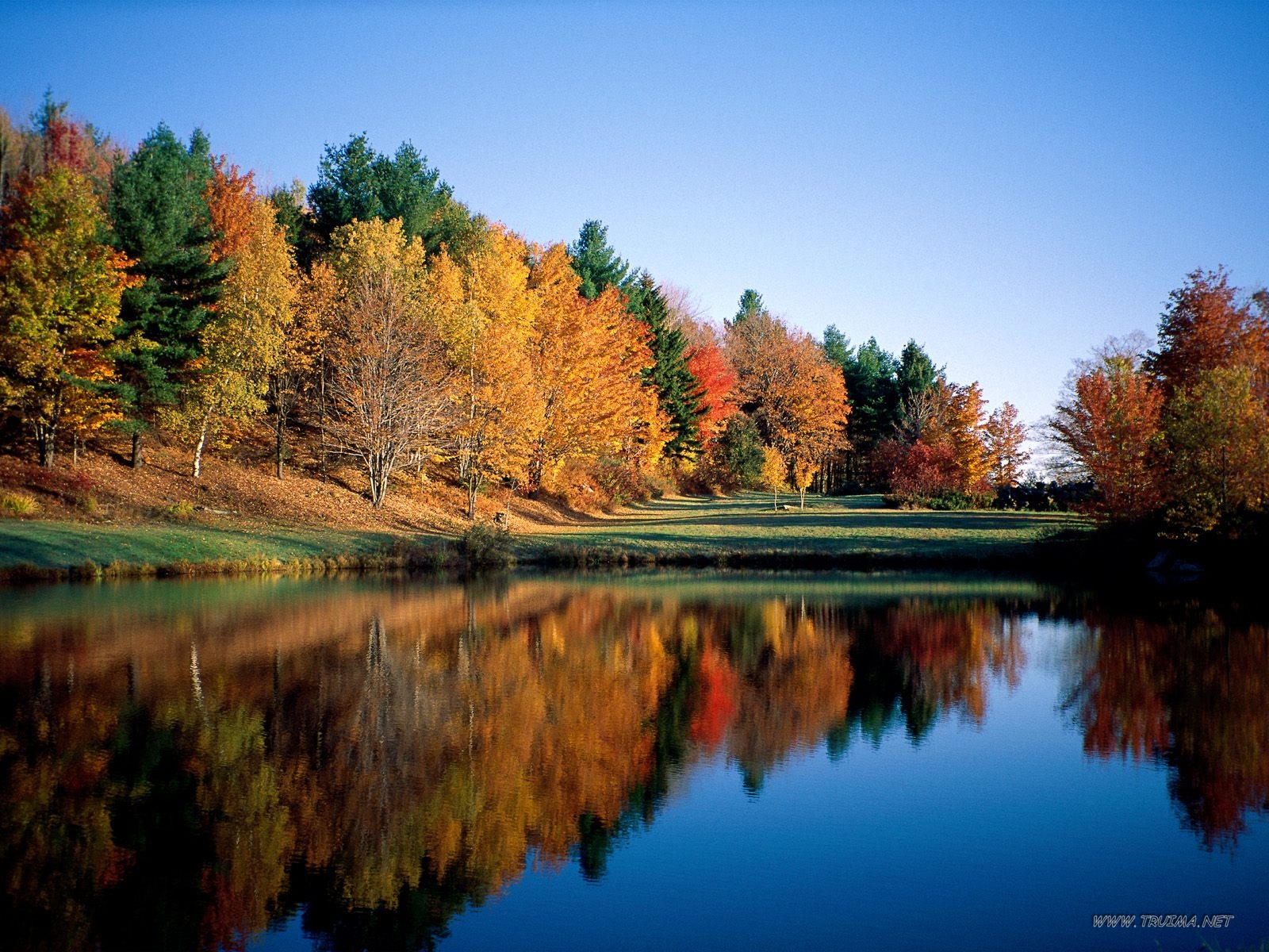 Autumn Reflections, Vermont