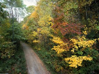 Autumn Roadway, Smoky Mountains National Park, Tennessee