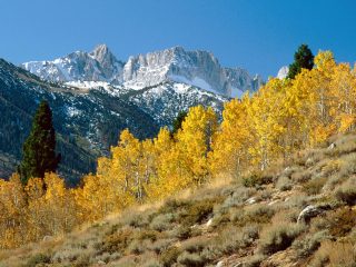 Autumn At Matterhorn Peak, Sawtooth Range, California