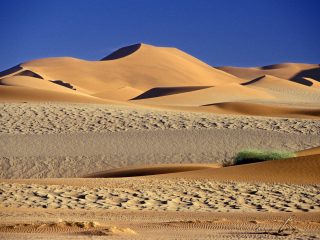 Couleurs De Sable