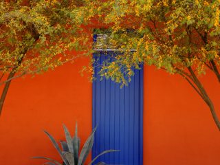 Barrio District, Tucson, Arizona