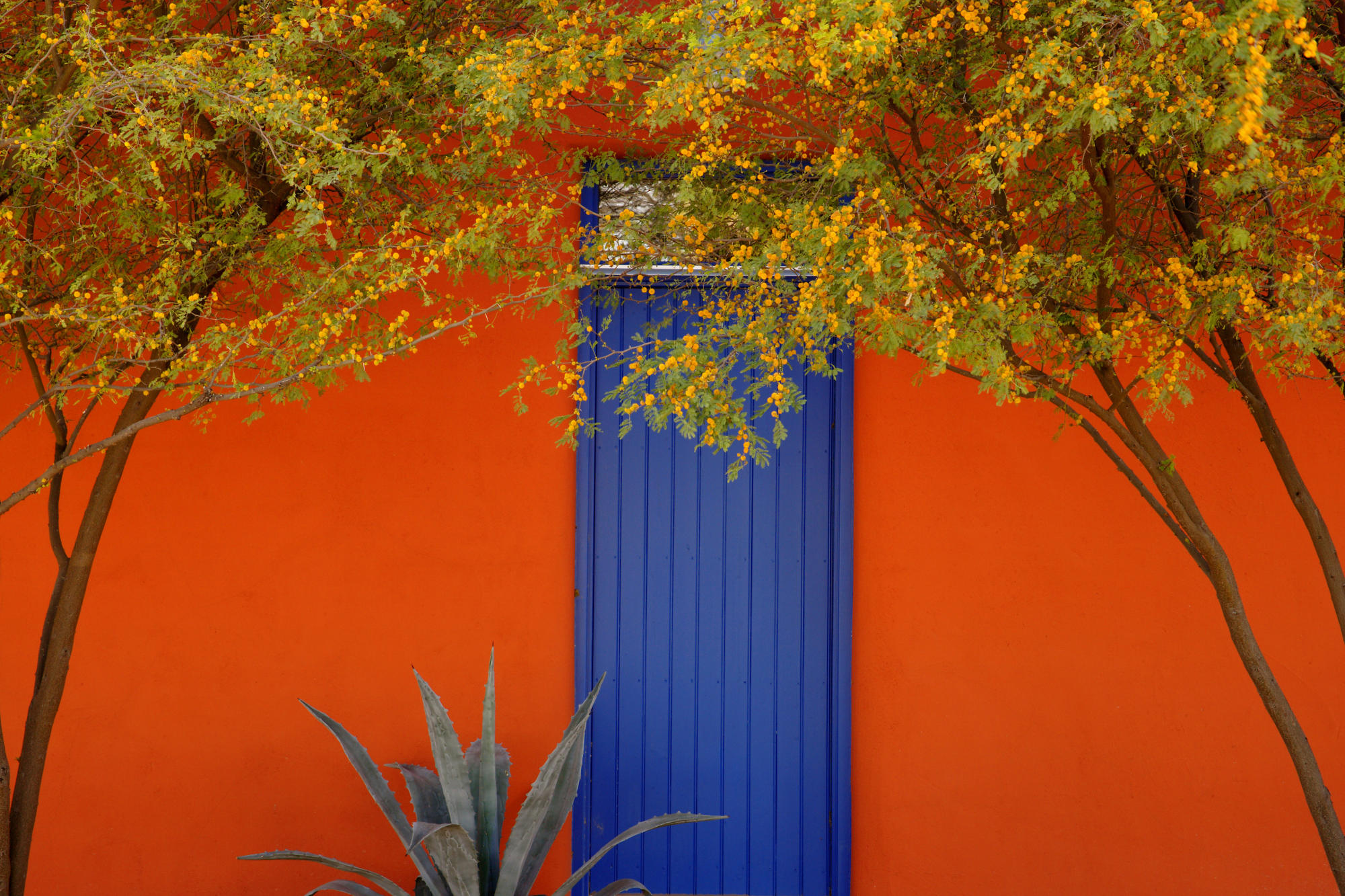 Barrio District, Tucson, Arizona