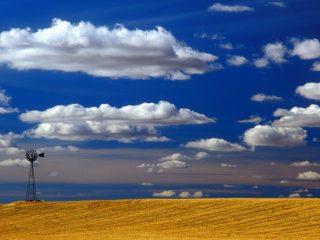 Windmill, Eastern Washington