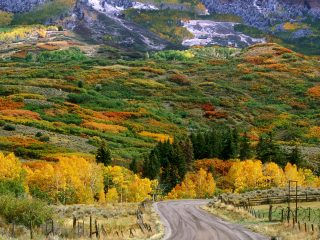 Fall Color Along The Cimarron Road, Colorado