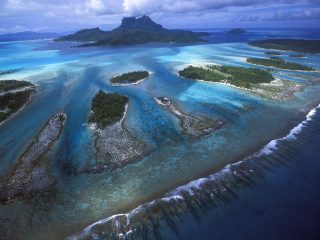 Barrier Reef Teeth