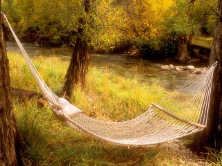 Peaceful Hammock Near A Stream, Colorado