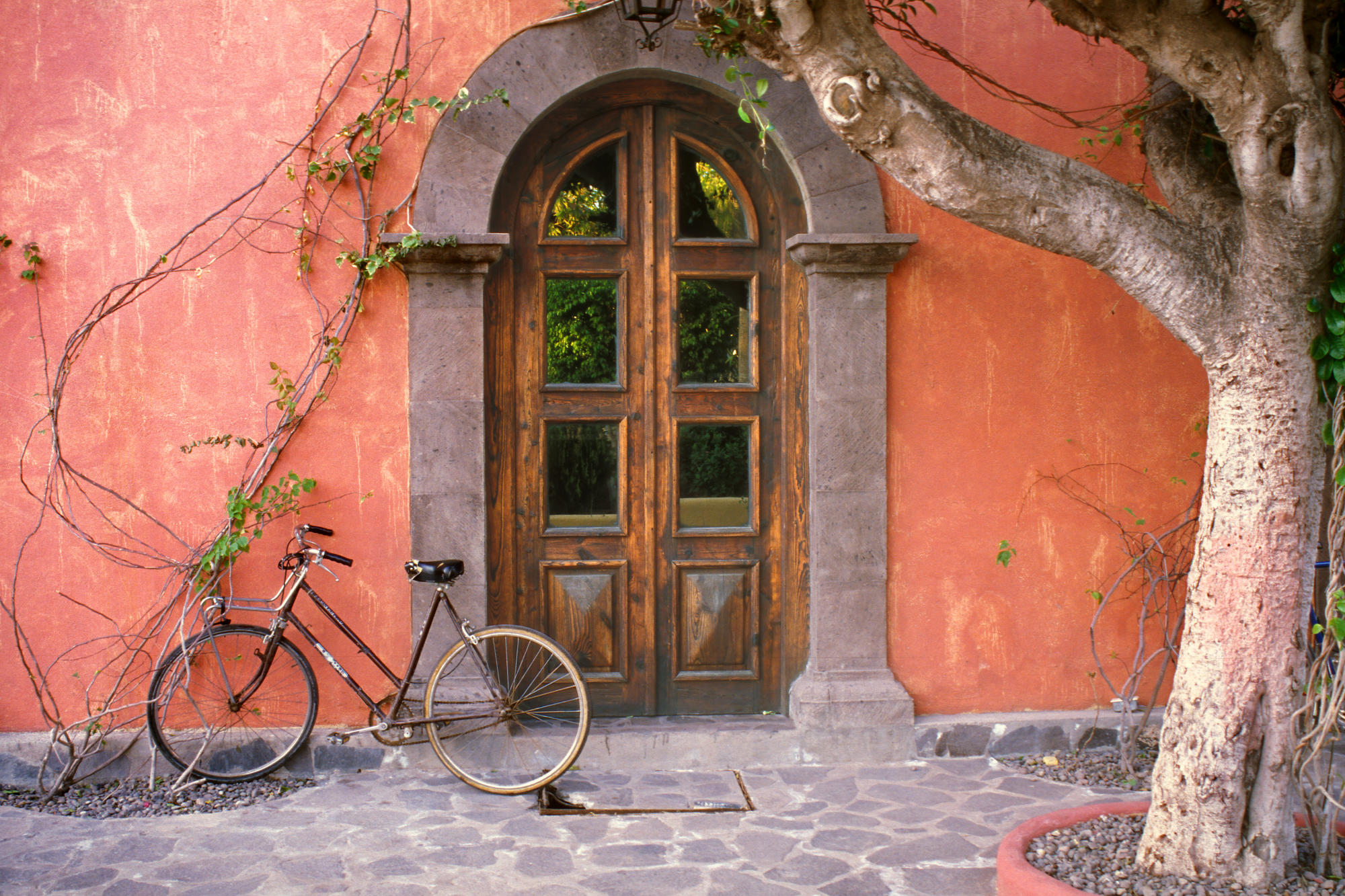Doorway And Bicycle, Loreto, Mexico