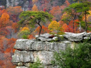 Buzzard’s Roost From Millikan’s Overlook, Fall Creek Falls State