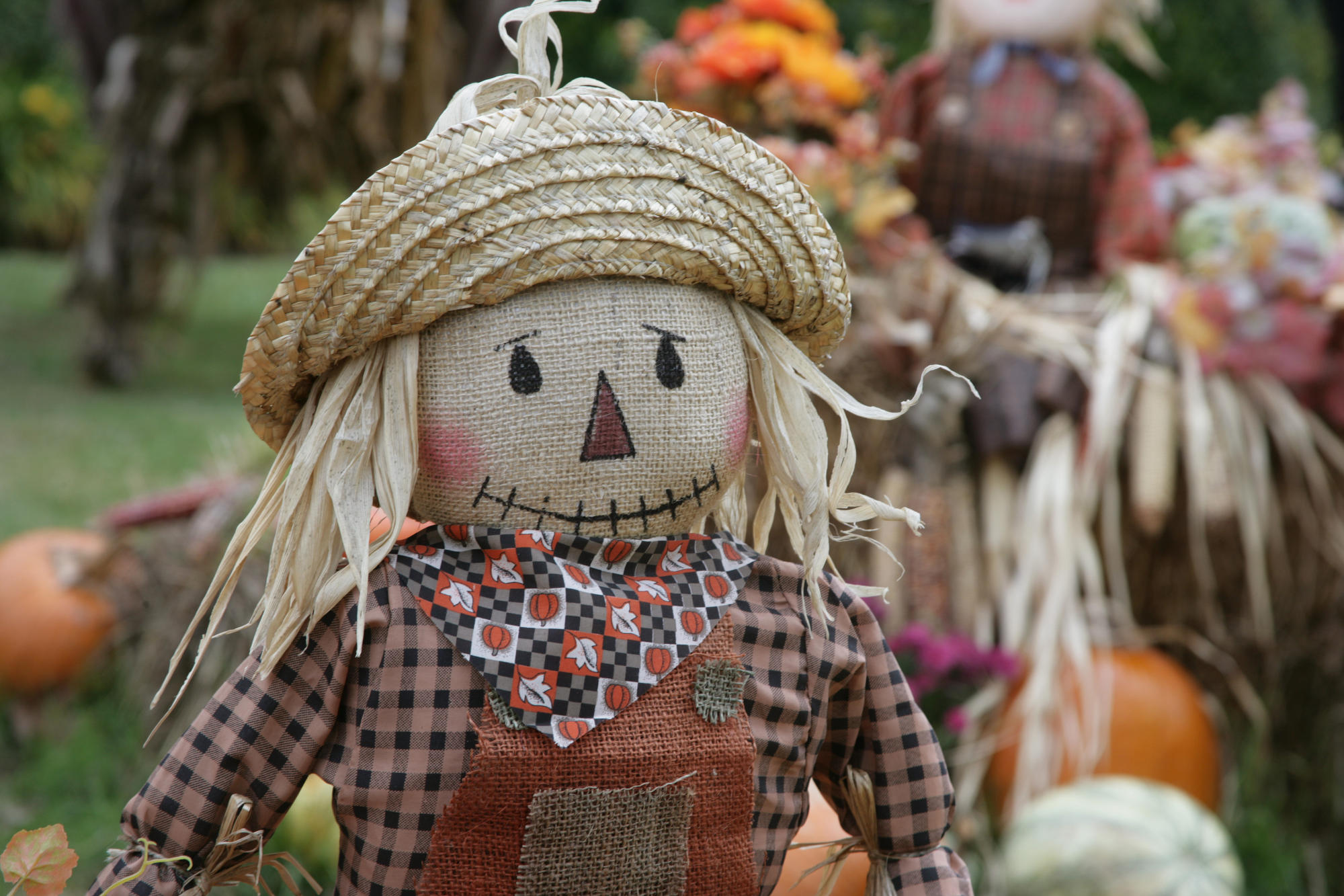 Scarecrow. Авторская кукла сбор урожая. Harvest time. Harvest.