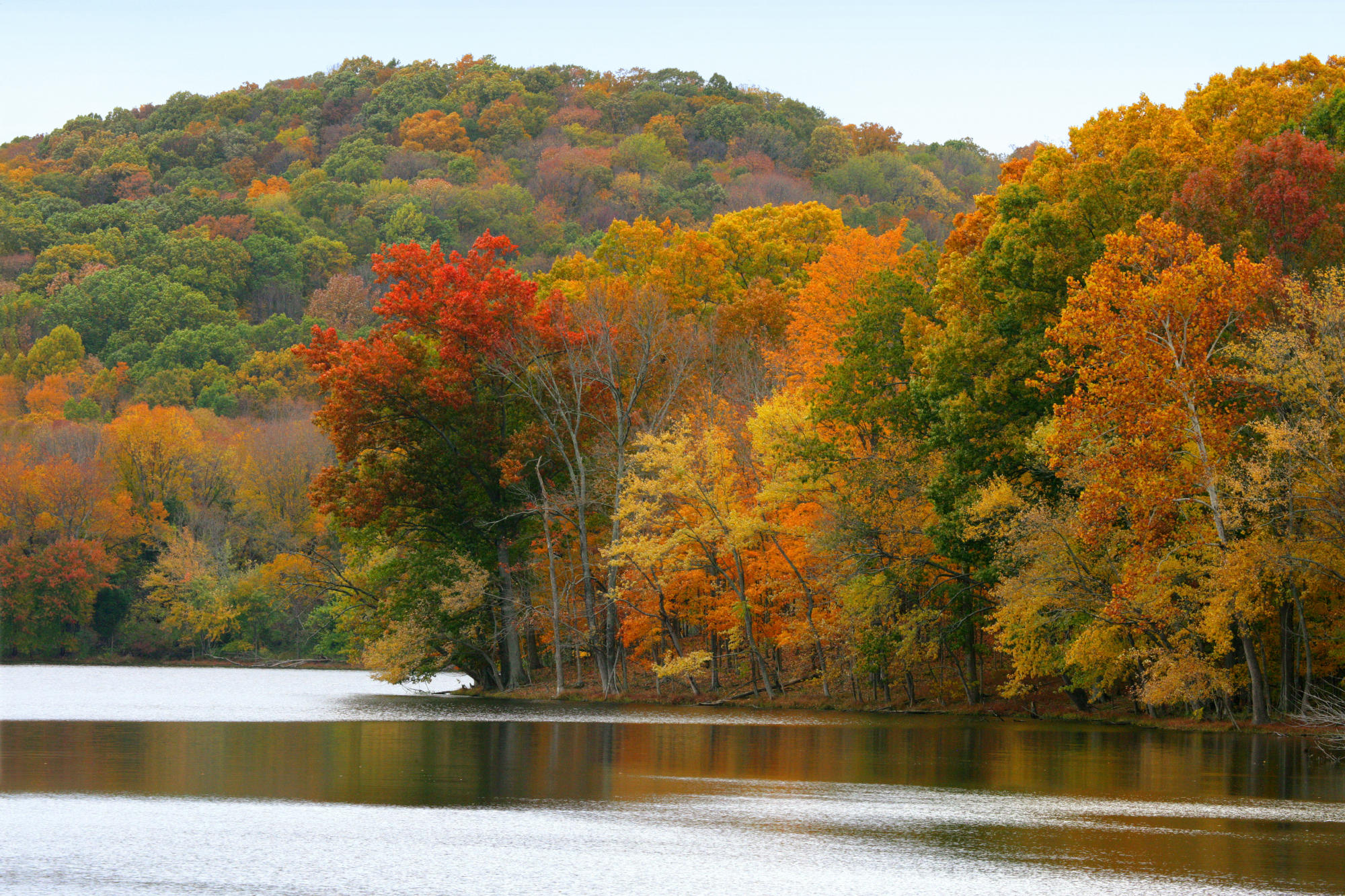 Radnor Lake In Autumn, Nashville, Tennessee