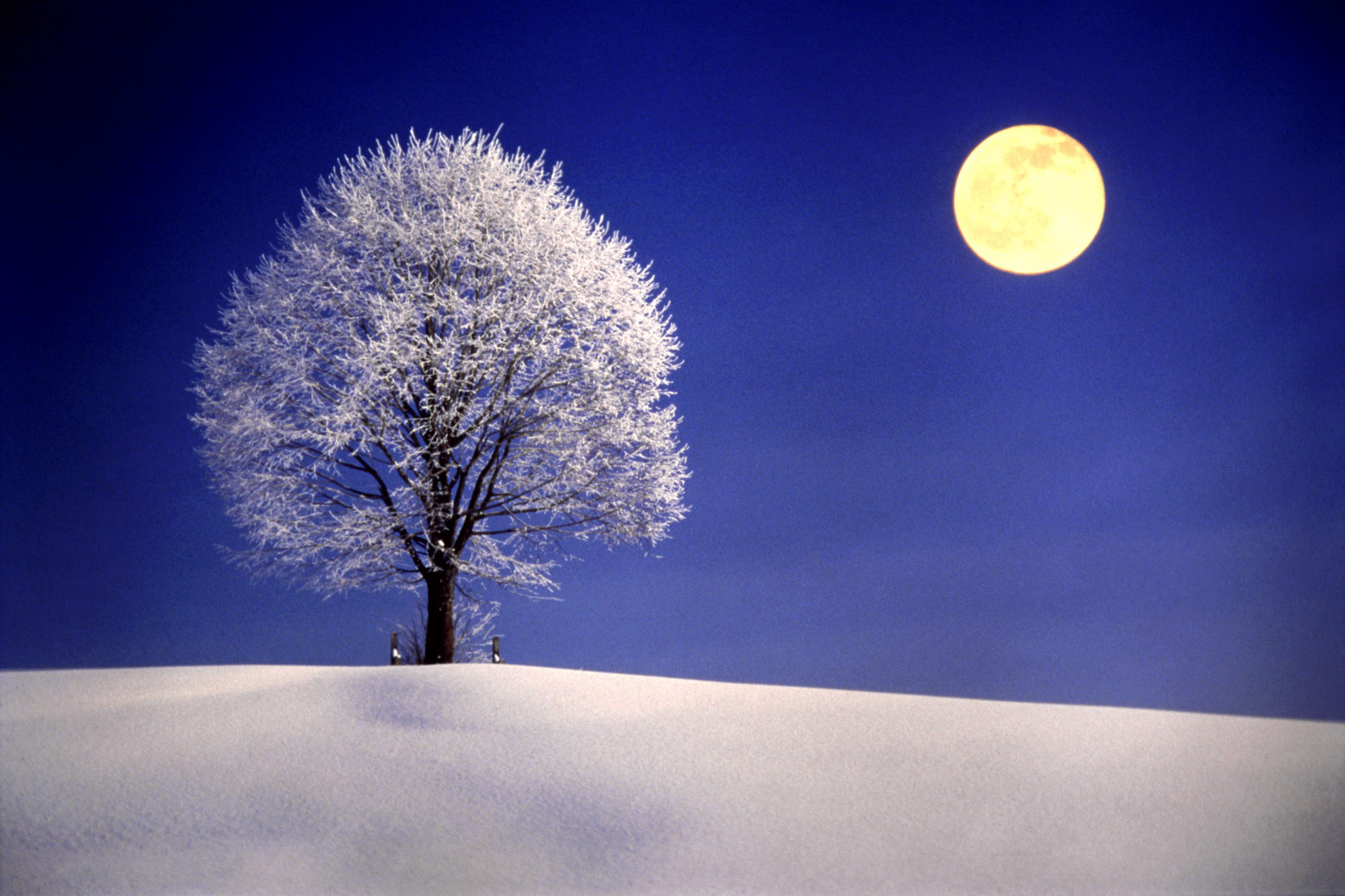 Луна зимой