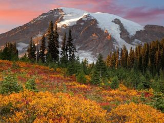 Fall In Paradise, Mount Rainier National Park