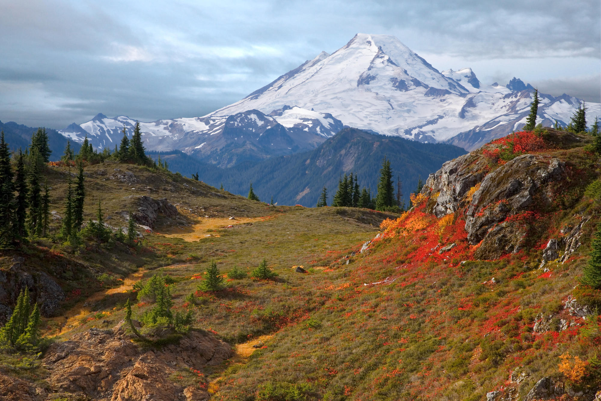 Mount Baker, From Yellow Aster Butte