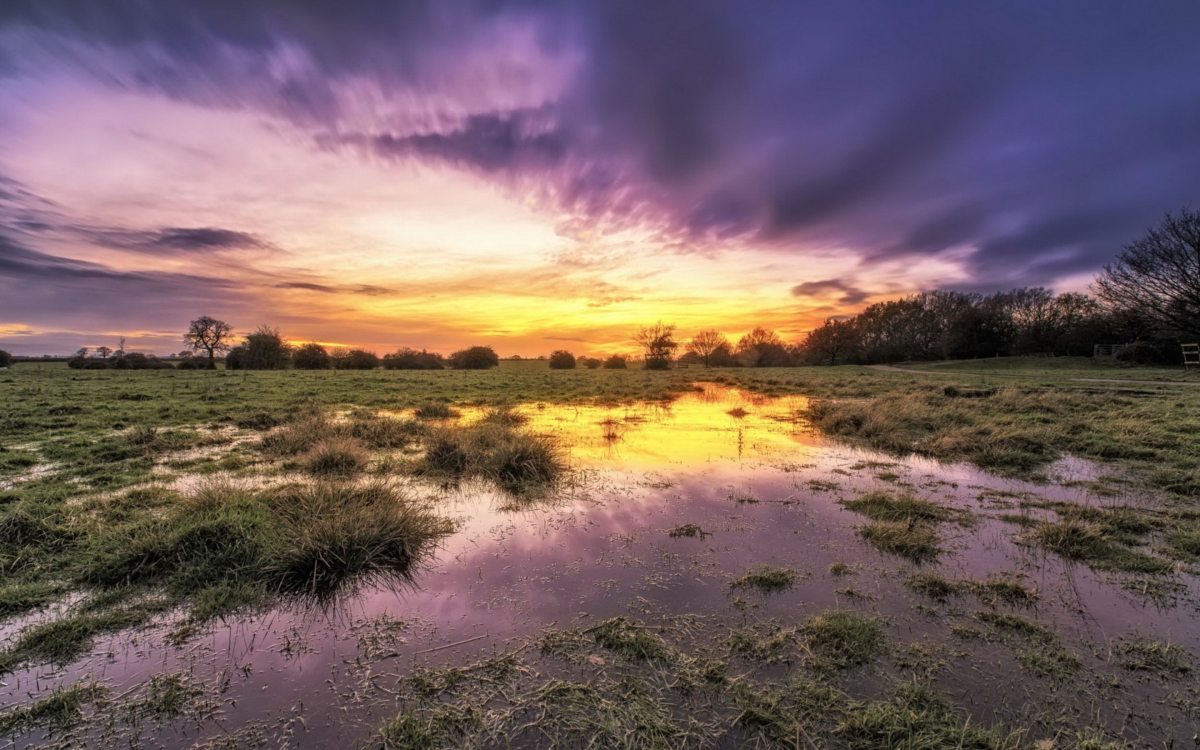 Закат на болоте. Query field