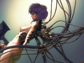 Ghost In The Shell 5