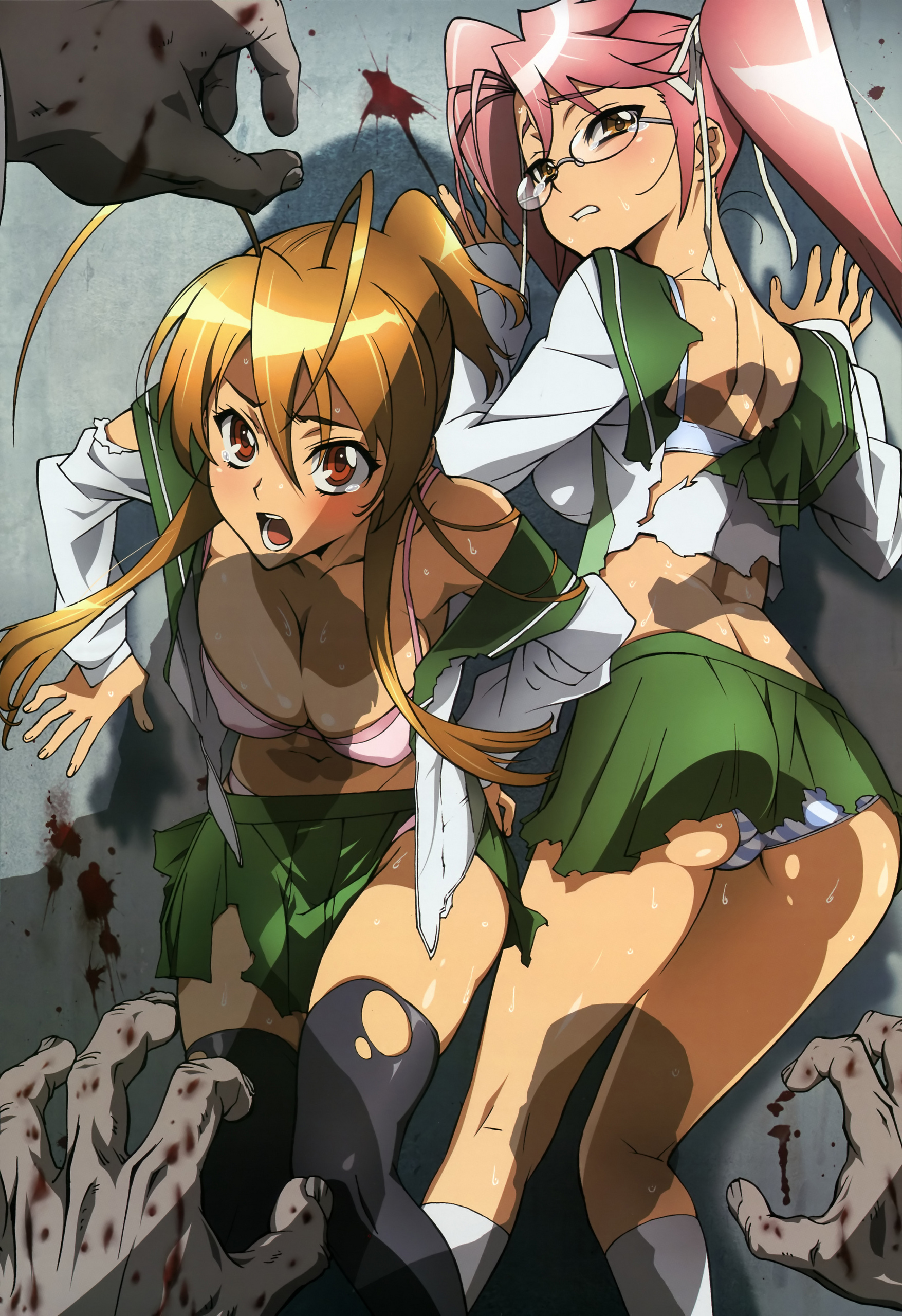 Highschool Of The Dead 12