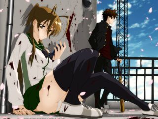 Highschool Of The Dead 17