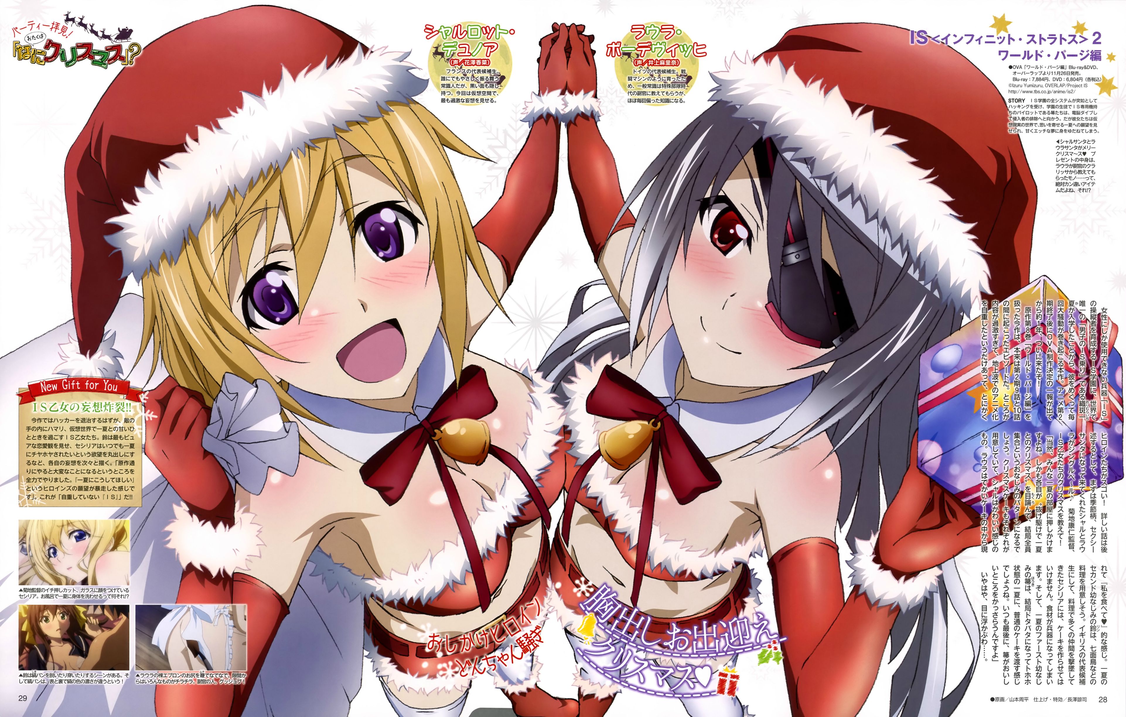 Infinite Stratos 10