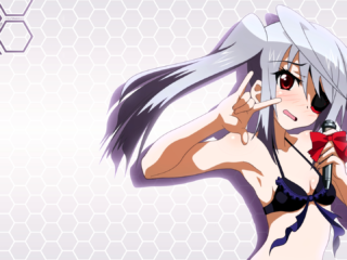 Infinite Stratos 17