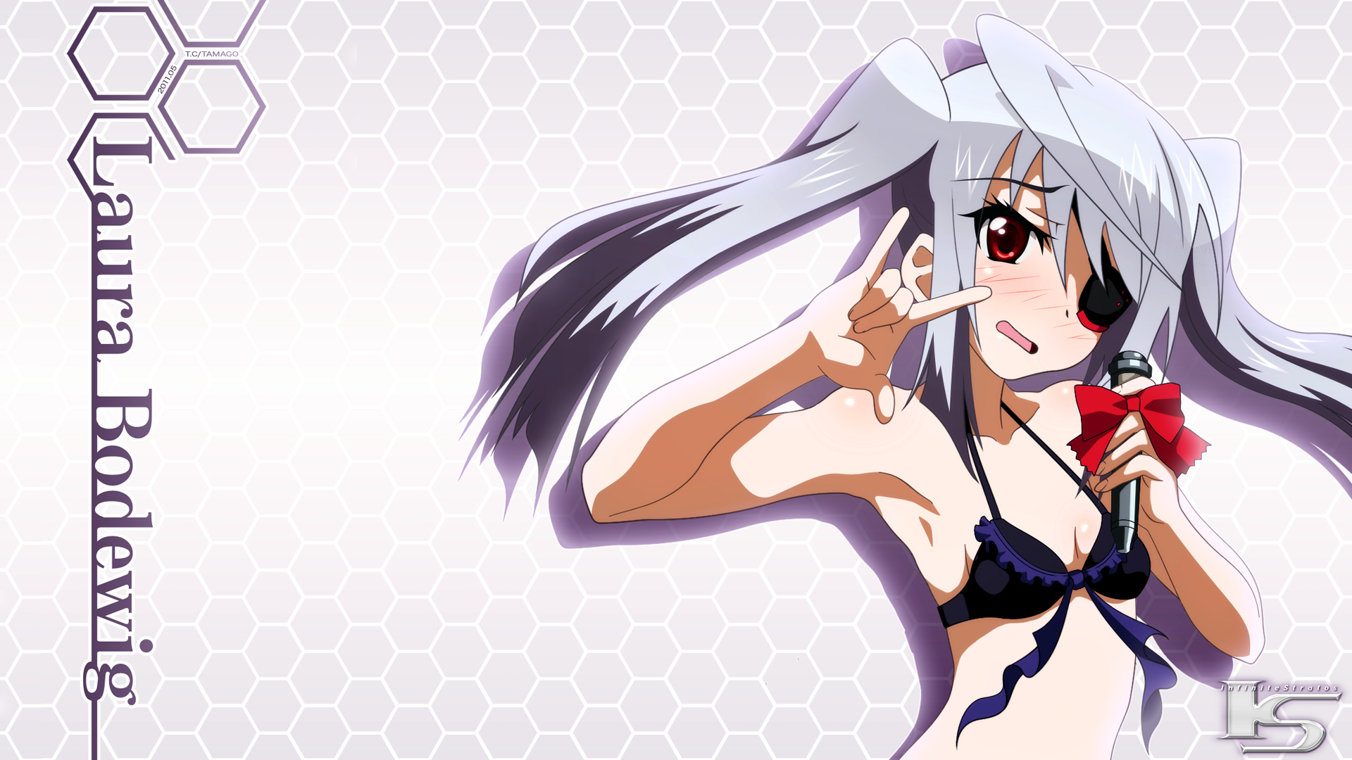 Infinite Stratos 17