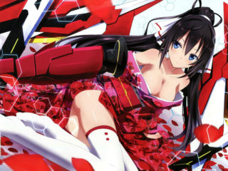 Infinite Stratos 19