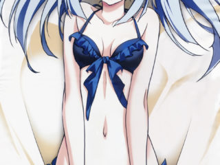 Infinite Stratos 2