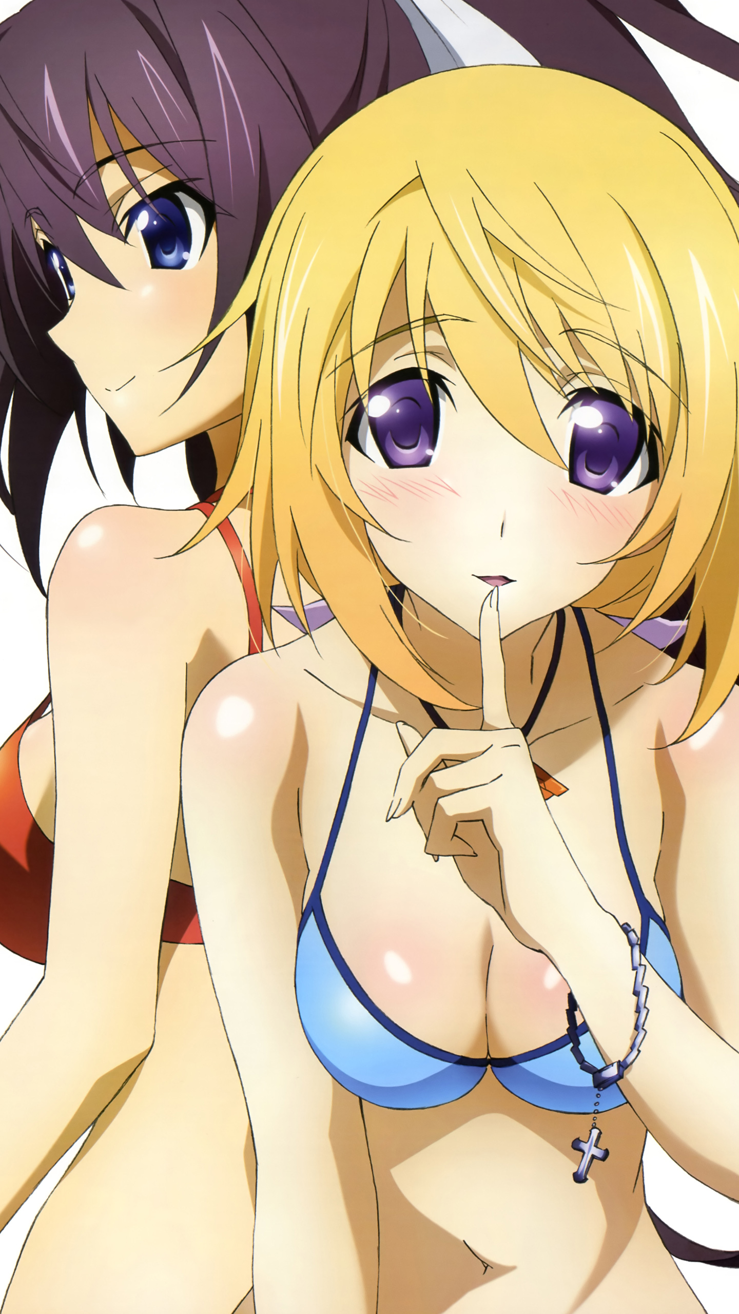 Infinite Stratos 20