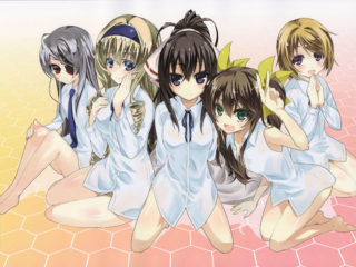 Infinite Stratos 31