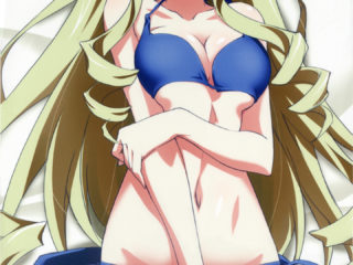 Infinite Stratos 9