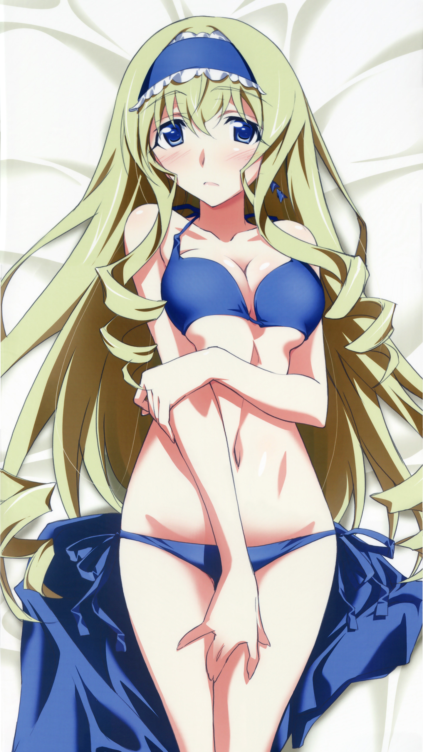 Infinite Stratos 9