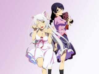 Monogatari Series 17