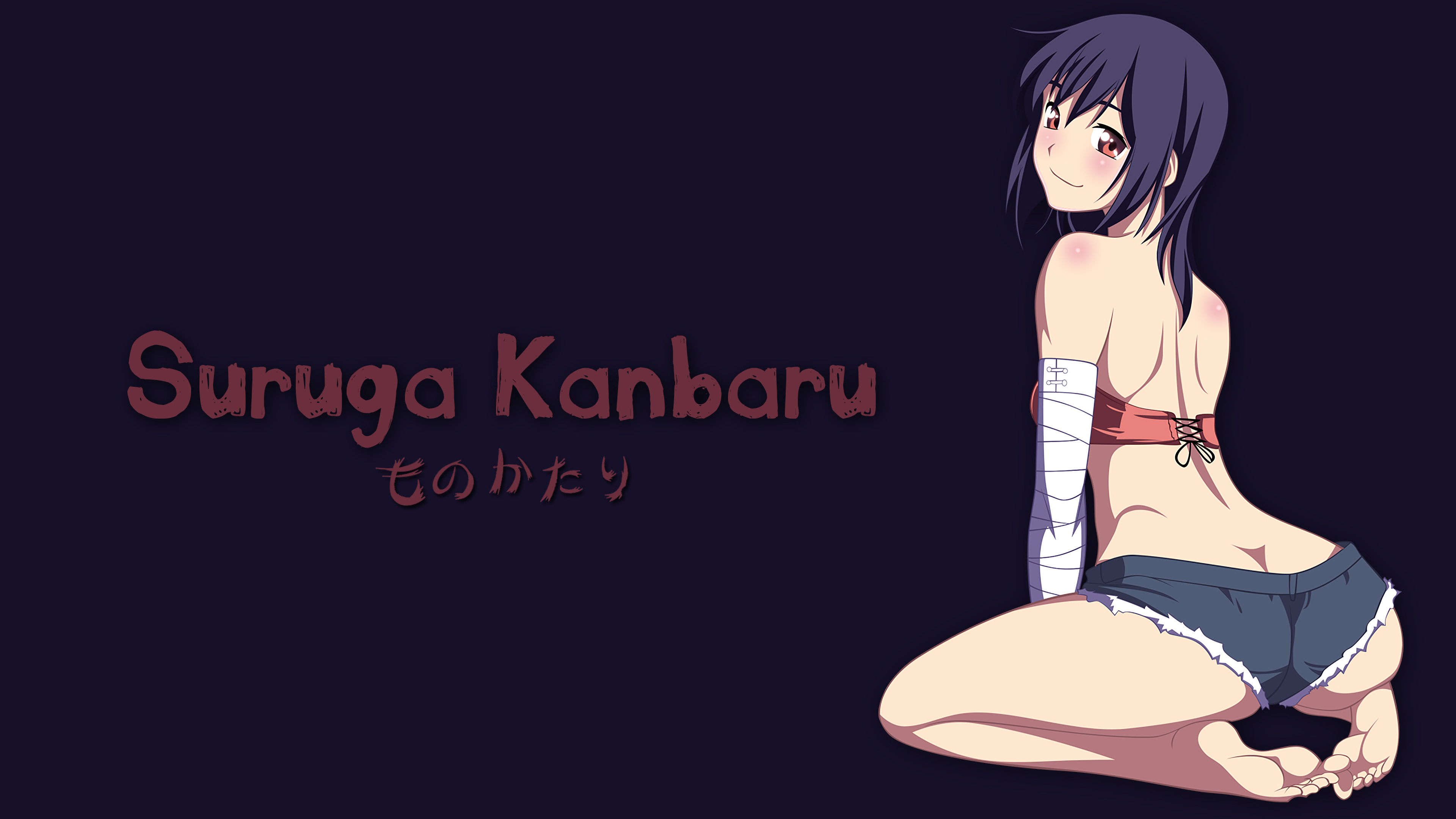 Monogatari Series 23