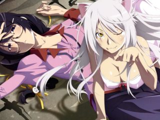 Monogatari Series 45