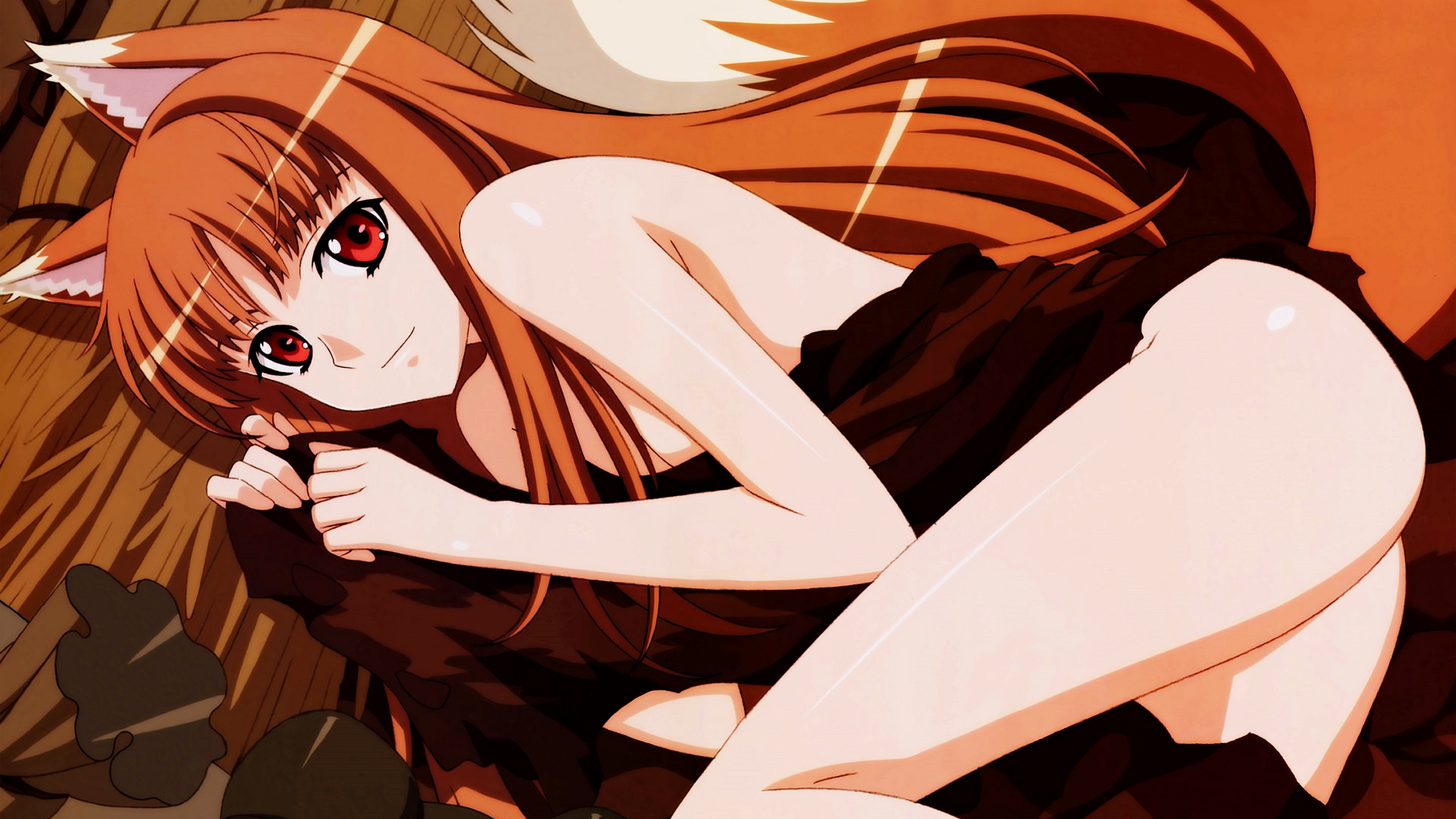 Spice And Wolf 17