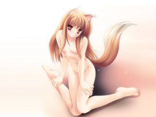 Spice And Wolf 3