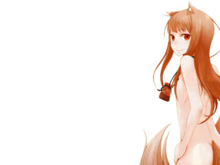 Spice And Wolf 6