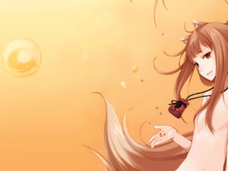 Spice And Wolf 7
