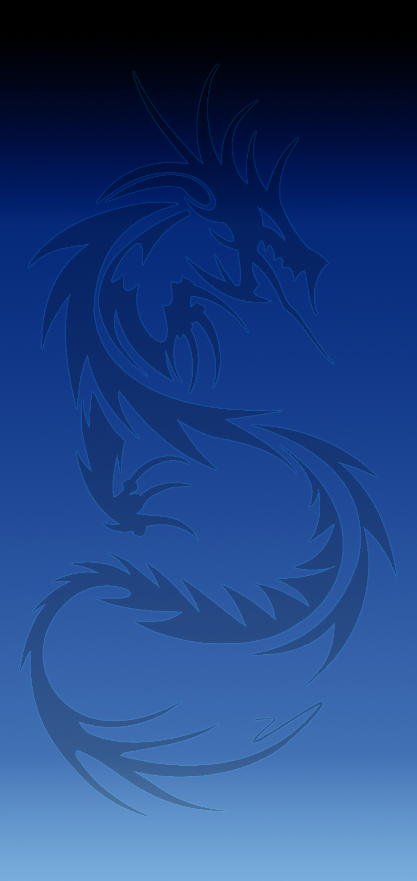 Black N Blue Dragon4