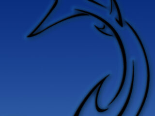 Blue Black Shark Thick