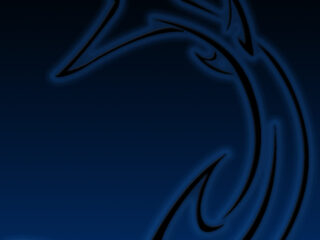 Blue Black Shark Thick3