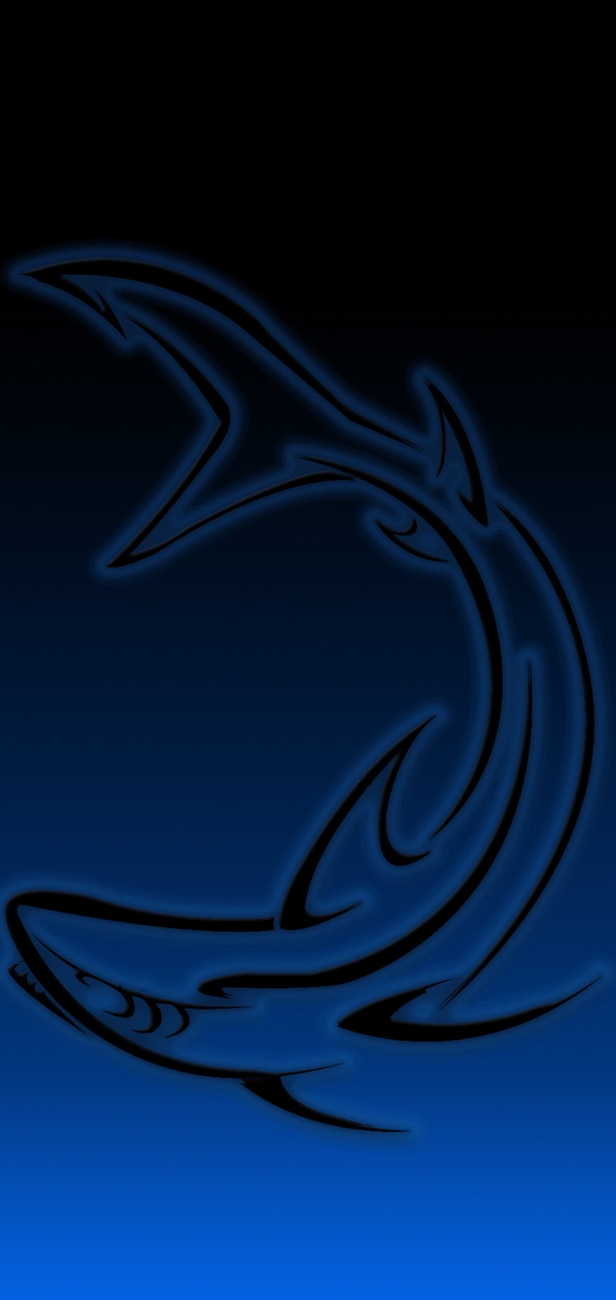 Blue Black Shark Thick3