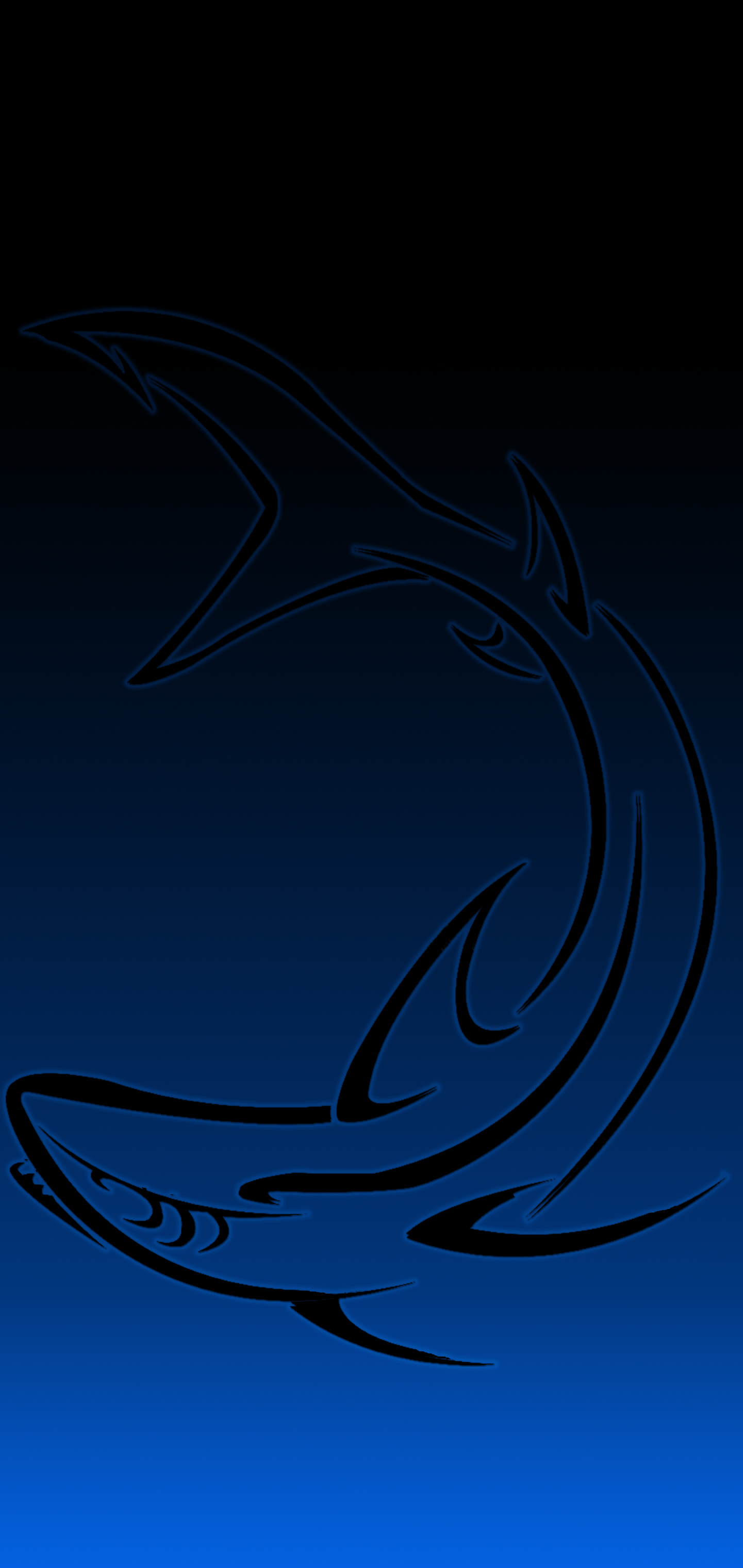 Blue Black Shark11